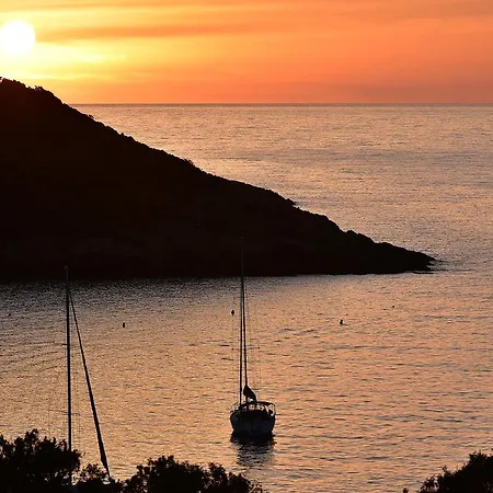 Palazzu & - Adult Only