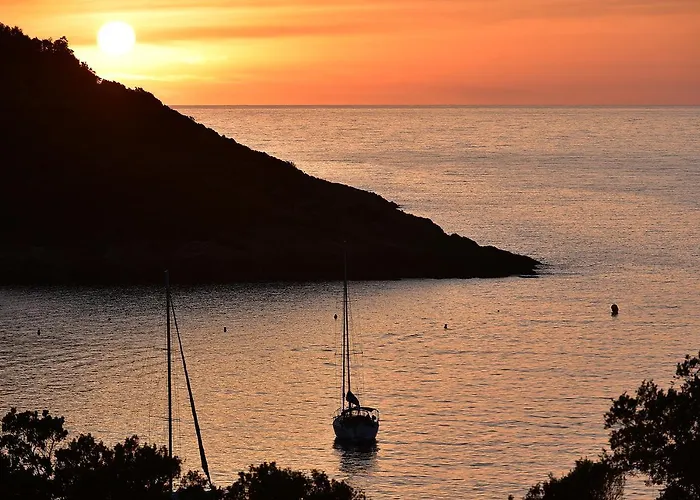 Palazzu & - Adult Only